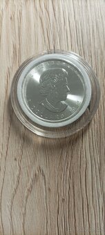Stříbrné mince - 3