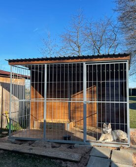 Kotec pro psa 3x2m - 3