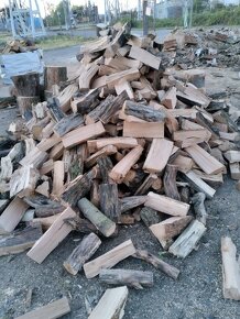 Palivové dřevo +rizikové kácení stromů - 3