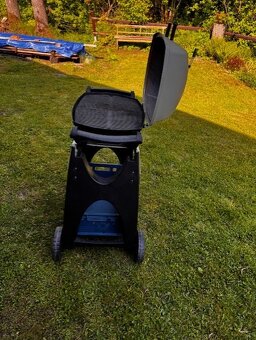 Weber - 3