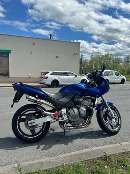Hornet 600s - 3