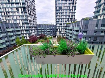 Pronájem bytu s balkonem, Žižkov, novostavba - 3