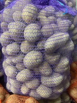 Brambory na uskladnění - 3