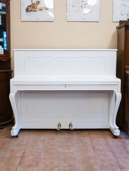 Petrof Chippendale  117 - 3