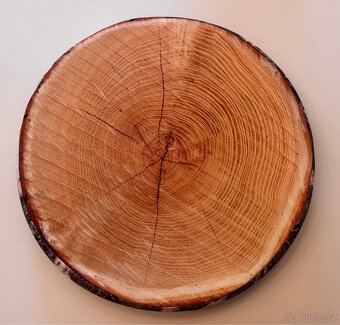 Sedák bříza 40 cm - 3