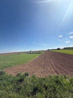 Prodej pole - orná půda podíl 1/2, 7787m² - 3