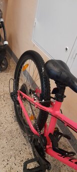 divci kolo Spezialized 24 - 3