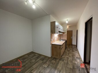 Pronájem, byty/2+1, 54 m2, Okružní 1156, 36222 Nejdek, Karlo - 3