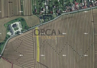 Orná půda v k.ú. Vřesovice - 3