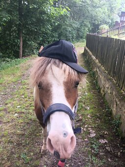 Strakaty pony - 3