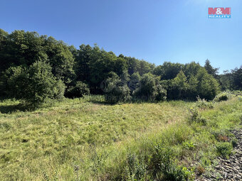 Prodej louky, 5874 m², Bakov nad Jizerou - Malý Rečkov - 3