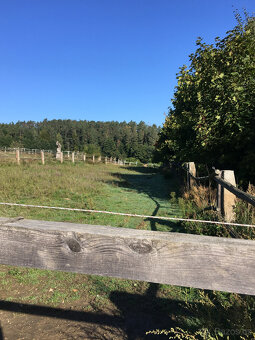 Nabízíme volné místa - ustájení 12/12 - 3