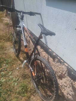 Pánské kolo AUTHOR DEXTER - 3