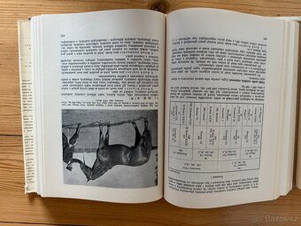 Speciální zootechnika - 3