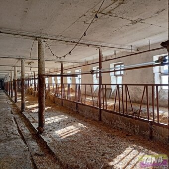 Prodej zemědělská usedlost, 800 m2 - Dolní Chvatliny - Manči - 3