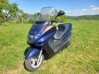 Yamaha 250 r.v.2001 - 3