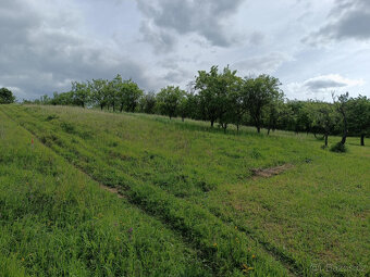 Kurdějov - 3