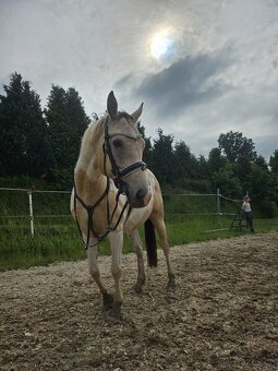 Cortez - skvělý parťák pro děti i pokročilé - 3