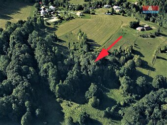 Prodej louky a lesa, 6562 m², Koberovy - 3