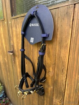 Obnosek lonžovací Professional BUSSE, velikost Full - 3