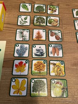 Pexeso, Pexetrio, stromy - 3