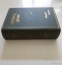 Zapadlí vlastenci Karel Václav Rais - 1910 - 3