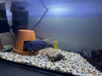 Kompletní akvárium se skřinkou - 3