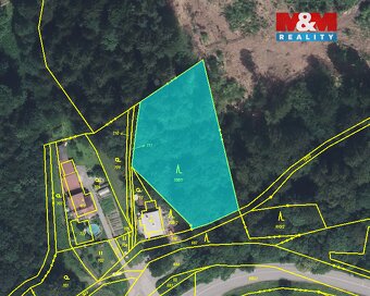 Prodej lesa, 2745 m², Ústí nad Orlicí - 3