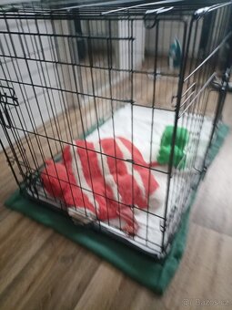 Klec pro psa, přepravní box - 3