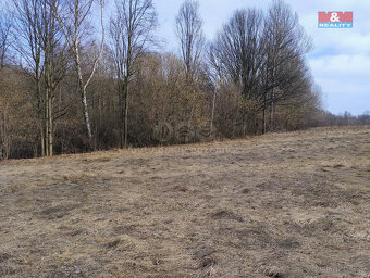 Prodej pozemku k bydlení, 1920 m², Dolní Moravice - 3