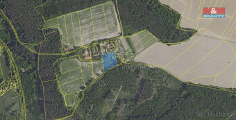 Pronájem pastviny, 5259 m², Zásmuky - 3