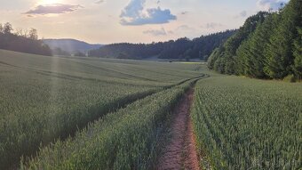 Pozemek/dům v Dolní Dobrouči - 3