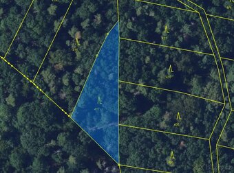 Lesní pozemek k.ú. Šerkovice 1.307m2 - 3