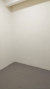 Pronájem nově zrekonstruovaných obchodnîch prostor 150 m2 - 3