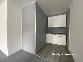 Prodej nově revitalizovaného bytu 1+kk v ul. Žežická v Ústí - 3