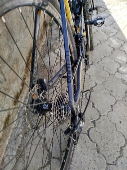Kellys Soot 50 2020 - 3