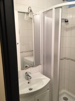 Pronájem bytu 2+1 Kralovice - 3
