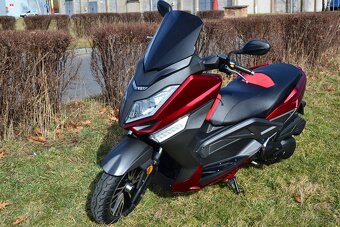 Maximus Offensive 125 - 3