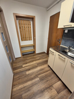 Ubytování v blízkosti centra Kroměříže - 3