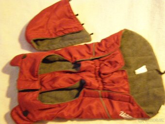 Daruji obleček a kšíry pro malého psa. - 3