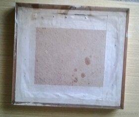 Zarámovaný obraz - 3