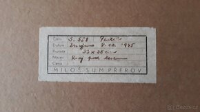 MILOŠ SUM - 3
