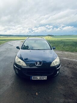 Peugeot 407sw - 3
