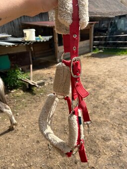 Pony ohlavka - 3