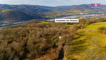 Prodej ovocného sadu v Děčíně - 3