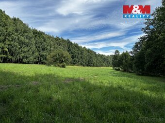 Prodej louky, 7691 m², Petrovice u Karviné - 3