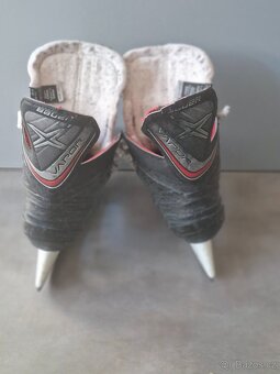 Brusle Bauer EUR 33,5 - 3