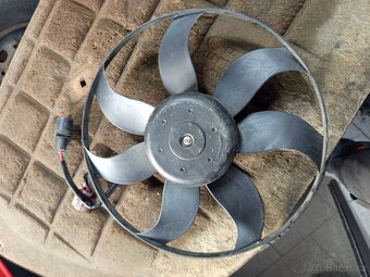 Sahara Octavia 2 - 3