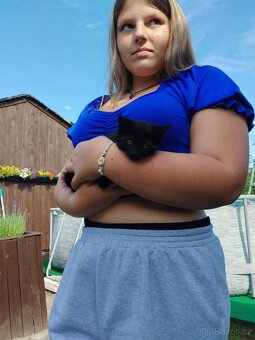 Daruji koťátka - 3