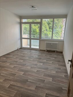 Pronájem bytu 3+1 v Opavě Kateřinkach - 3